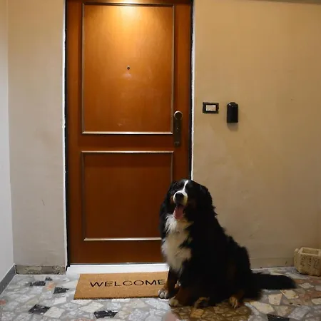 Luxury Bellevue Centro Citta Apartman *