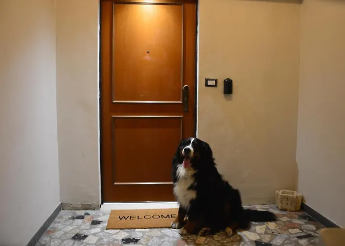 Luxury Bellevue Centro Citta Daire *